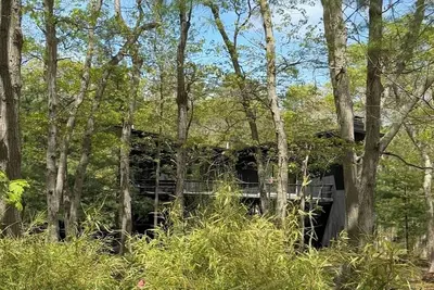 Image de Butterfly House mid century secluded treehouse