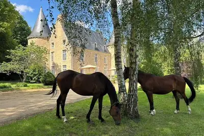 Image de Le Château de Vaux, un lieu d'exception