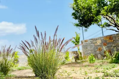 Image de Gioma Garden Villas