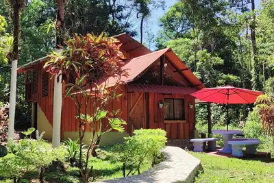 Image de Hospedaje en Bosque Tropical Reforestado, Lleno de Naturaleza, paz y Relajación