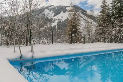 Image de Alpine Apartment Studio 3 - Viehhofen-anc. Tui