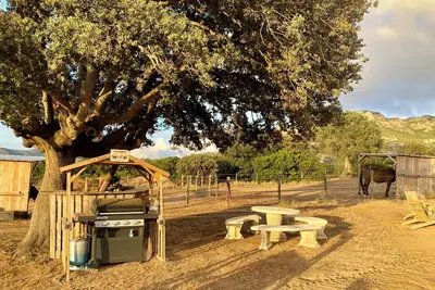 Image de Les chalets de Tesa N°4 Le luxe au milieu des chevaux