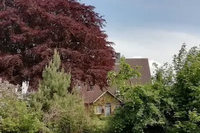 Image de 4- Zimmer- Wohnung: \"talblick\" im Buchenhof- Wagrien