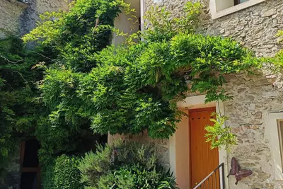 Image de Magnanerie Provençale