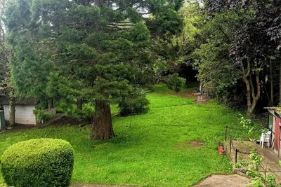 Image de Sequoia Apt. for nature lovers, near the Nürburgring