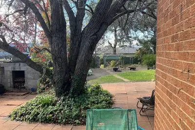 Image de Canberra Inner South and close to City Lake   Parliament, Kingston  woden