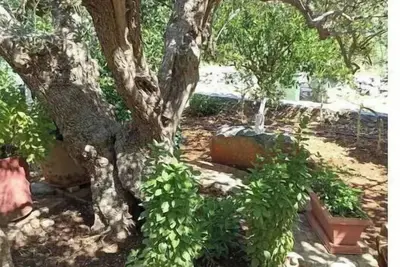 Image de Martha's Home in Fourni Village Crete