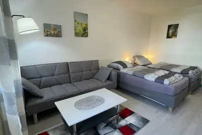 Image de Newly renovated apartment (30sqm) with large balcony