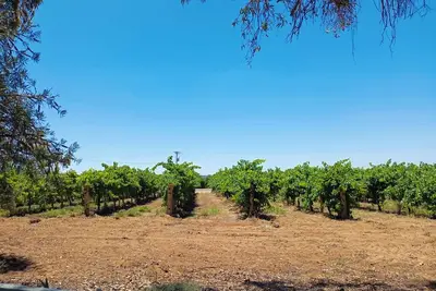 Image de House By The Vines