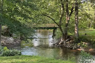 Image de Cozy Nottely River Cabin. Close to lake, hiking trails, and Vogel State Park.