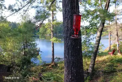 Image de Comfy 8-person cottage. Stoney Lake. Kawarthas. Pet friendly. 90 mins Toronto\n