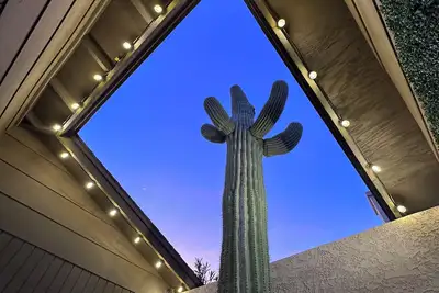 Image de Old Town, Sun Devils, Tempe, Papago, Zoo, Cubs, Giants, Wm Open, and more!