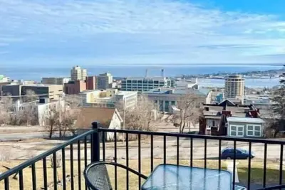 Image de Aerial Bridge Vista 2