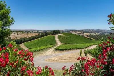 Image de The Story Home | Copia Vineyards