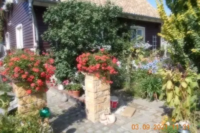 Image de Vermiete Sehr Schönes Apartment/ferienwohnung in Dankerode im Harz