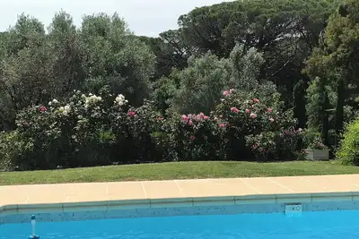 Image de Grande maison de famille climatisée, avec piscine, entre Estérel, mer, golfs.