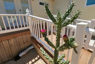 Image de Ranch With Cactuses weekly and monthly rentals up to 35% Off\n+++++No linen fee