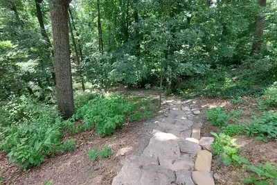 Image de Bright, spacious house with private, scenic backyard in Arlington Forest