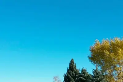 Image de The Grizzly-Great Views! !