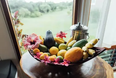 Image de Cozy cottage nestled on our 5 acre Organic fruit farm