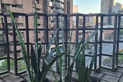 Image de Excellent apartment. Olmos Courtyard