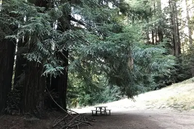 Image de Campsite #8 with hot water shower in 45acre Redwood Mountain Retreat