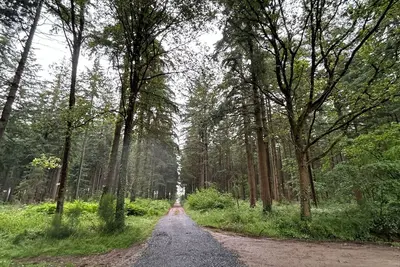 Image de Gîte au cœur de la forêt à 17kms d’Angers