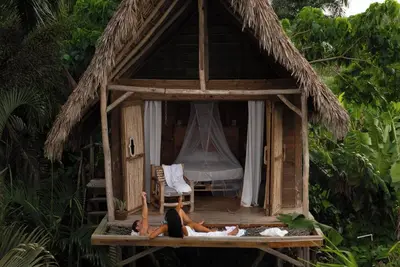 Image de Tree house in the Dominican jungle