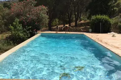 Image de Maison En Pleine Nature Avec Piscine