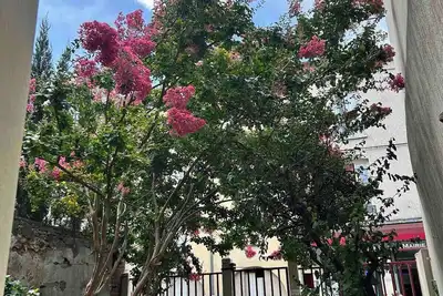 Image de Belle F2 Centre Ville Massy avec jardin