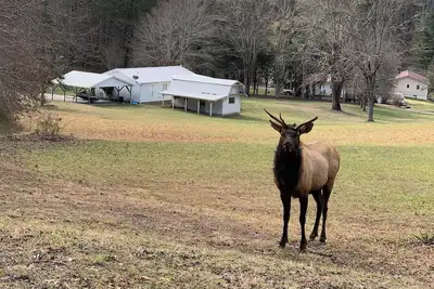 Image de Cozy 2-bedroom cottage in lovely Bryson City with Ac, WiFi