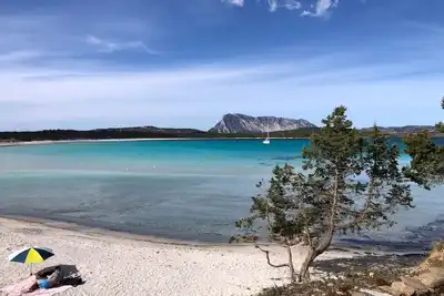 Image de Villa Geneva in San Teodoro - Lu Impostu