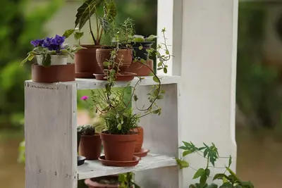 Image de Carpe diem stay a holiday home located in the midst of greenery away from town. .