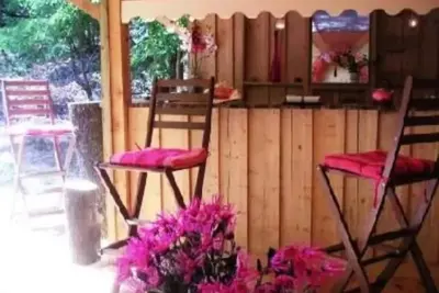 Image de Chalet 'Cap Ferret Villa Grand Bois' avec piscine privée, terrasse privée et jardin privé