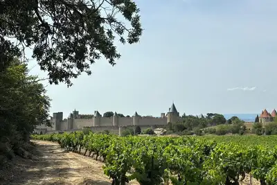 Image de Maison de campagne située à 50 mètres du château et entourée par les vignes