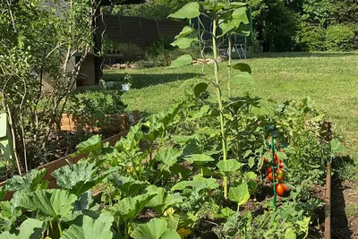 Image de Villa climatisée avec oeufs et légumes frais. Ping pong