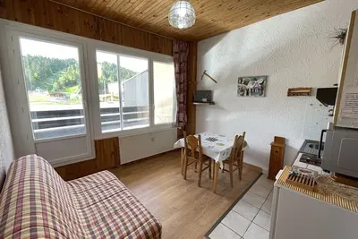 Image de Studio fonctionnel aux pieds des pistes avec balcon et Wi-Fi, Laveissière