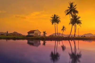 Image de Near the best of Seattle! ! !