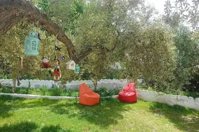 Image de Lotus House