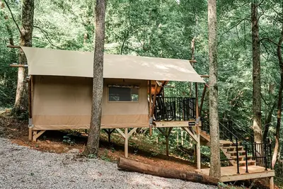 Image de GlampKnox - Tree Solo