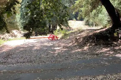 Image de Campsite #3 in Redwood Forest - Hot Water Shower