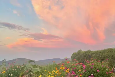 Image de Mountaintop Farmhouse on 90 acres, close to wineries, hot springs, and hiking