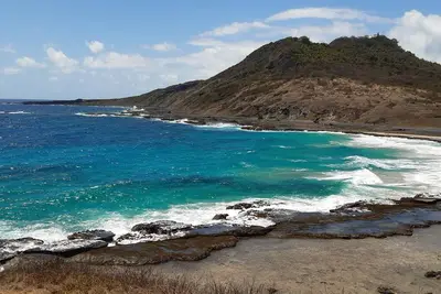 Image de Fernando de Noronha Manager Escoses. dolphin Researcher