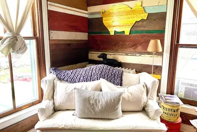 Peaceful, sunny downtown Ithaca apt. Walk everywhere! Super pet friendly!