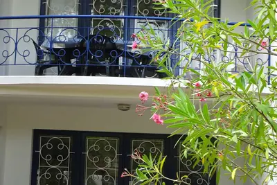 Image de Appartement Cap Ferret Rdc 6 Personnes