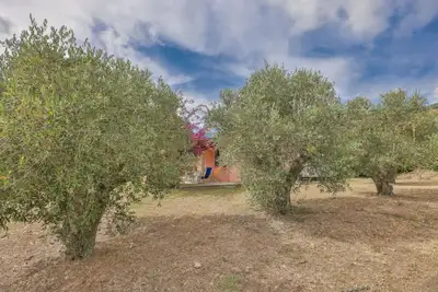 Image de Villino Lampone with sea view, immersed in a garden of olive trees