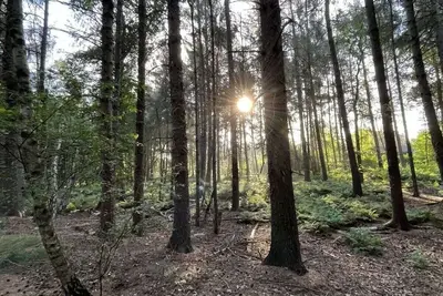 Image de Résidence de vacances tout confort Sunrise