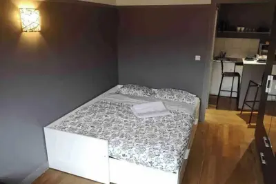 Image de Superbe appartement centrale (Quartier Latin)  \nA 5 min de Notre Dame, St Michel