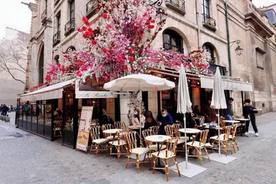Image de Paris Olympic Special 230M² 4br With Private Garden In Luxembourg