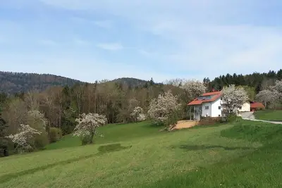 Image de Traumhaftes neu Renoviertes Apartment mit Herrlichem Ausblick & top Ausstattung